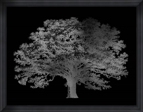 Framed Silver Foil Elephant Tree on Black Print