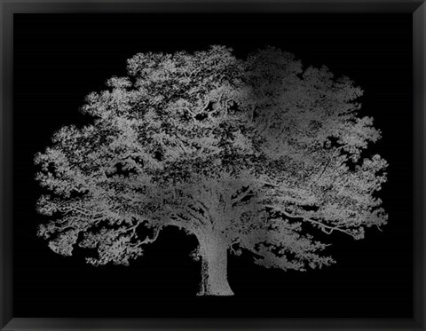 Framed Silver Foil Elephant Tree on Black Print