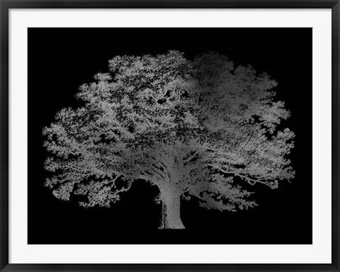 Framed Silver Foil Elephant Tree on Black Print