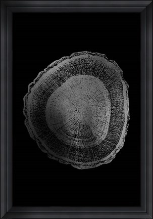 Framed Silver Foil Tree Ring I on Black Print