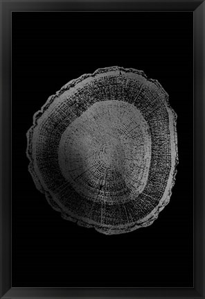 Framed Silver Foil Tree Ring I on Black Print