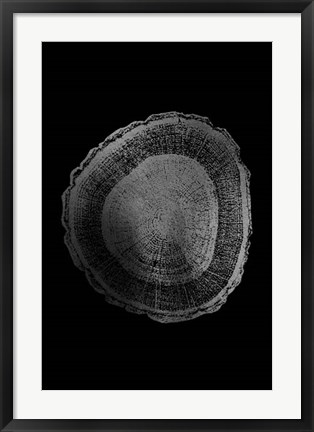 Framed Silver Foil Tree Ring I on Black Print