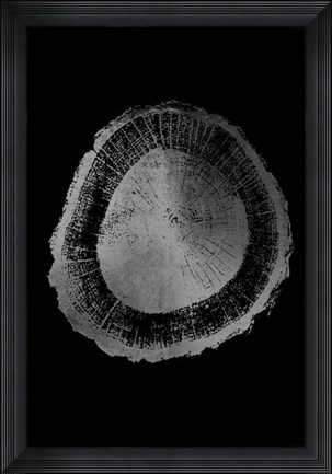 Framed Silver Foil Tree Ring II on Black Print