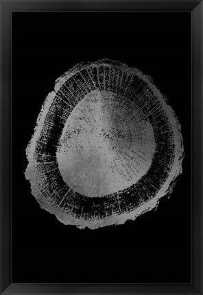 Framed Silver Foil Tree Ring II on Black Print