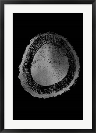 Framed Silver Foil Tree Ring II on Black Print