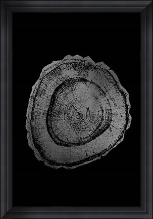 Framed Silver Foil Tree Ring III on Black Print
