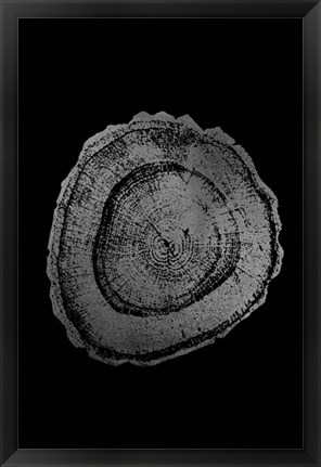 Framed Silver Foil Tree Ring III on Black Print