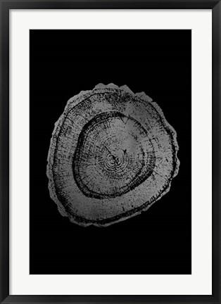 Framed Silver Foil Tree Ring III on Black Print
