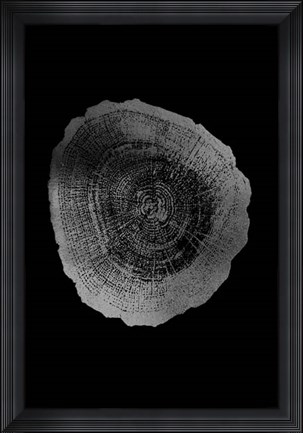 Framed Silver Foil Tree Ring IV on Black Print