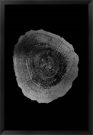 Framed Silver Foil Tree Ring IV on Black Print