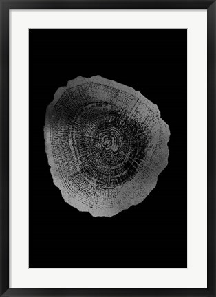 Framed Silver Foil Tree Ring IV on Black Print
