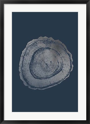 Framed Silver Foil Tree Ring III on Cobalt Print