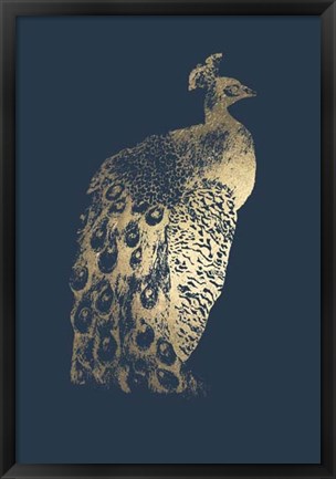 Framed Gold Foil Peacock II on Cobalt Print