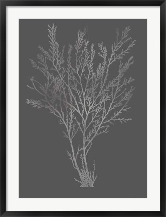 Framed Silver Foil Algae I on Dark Grey Print