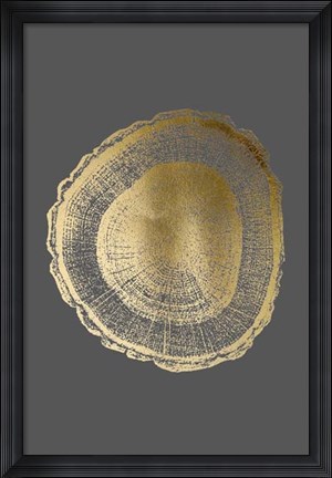 Framed Gold Foil Tree Ring I on Dark Grey Print