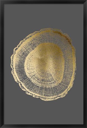 Framed Gold Foil Tree Ring I on Dark Grey Print
