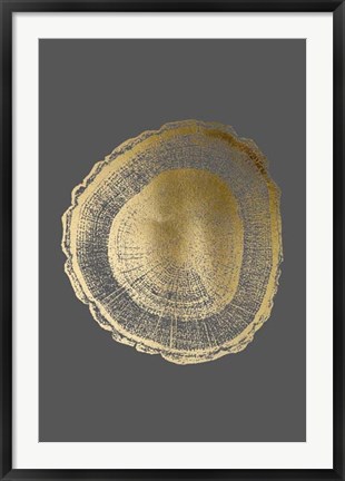 Framed Gold Foil Tree Ring I on Dark Grey Print