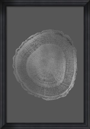 Framed Silver Foil Tree Ring I on Dark Grey Print