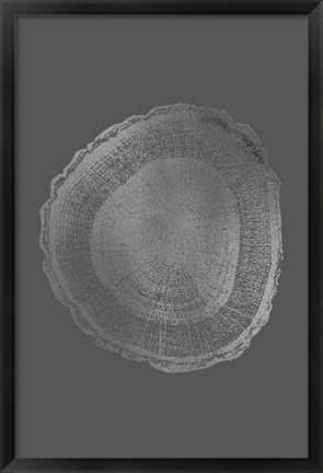 Framed Silver Foil Tree Ring I on Dark Grey Print