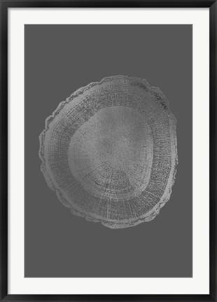 Framed Silver Foil Tree Ring I on Dark Grey Print