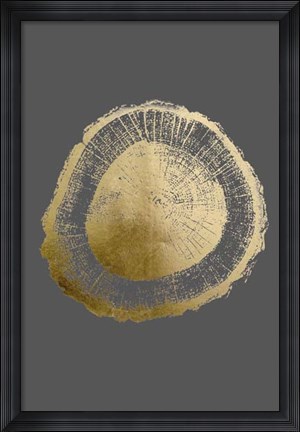 Framed Gold Foil Tree Ring II on Dark Grey Print