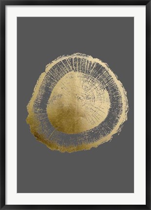 Framed Gold Foil Tree Ring II on Dark Grey Print