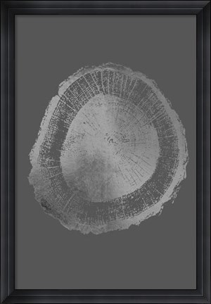 Framed Silver Foil Tree Ring II on Dark Grey Print