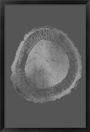 Framed Silver Foil Tree Ring II on Dark Grey Print
