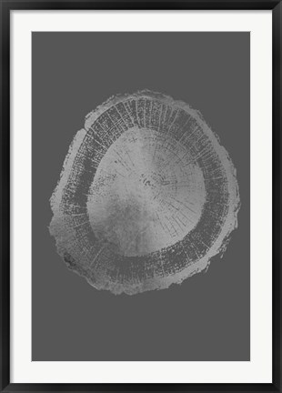 Framed Silver Foil Tree Ring II on Dark Grey Print
