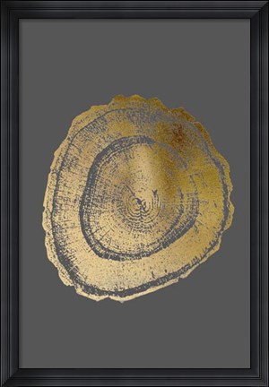 Framed Gold Foil Tree Ring III on Dark Grey Print