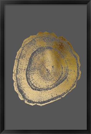 Framed Gold Foil Tree Ring III on Dark Grey Print