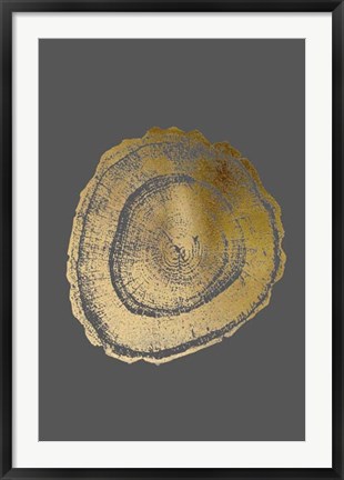 Framed Gold Foil Tree Ring III on Dark Grey Print