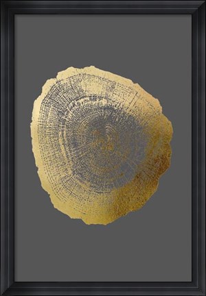 Framed Gold Foil Tree Ring IV on Dark Grey Print