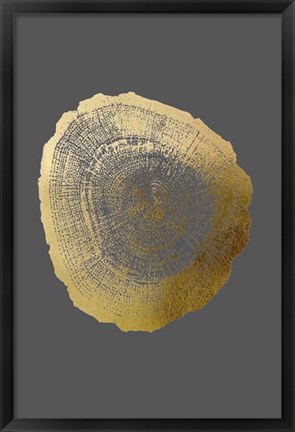 Framed Gold Foil Tree Ring IV on Dark Grey Print
