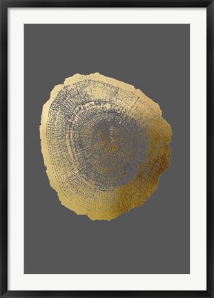 Framed Gold Foil Tree Ring IV on Dark Grey Print