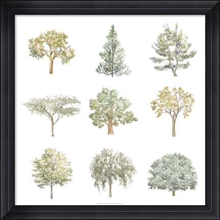 Framed Tree Varieties I Print