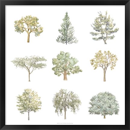 Framed Tree Varieties I Print