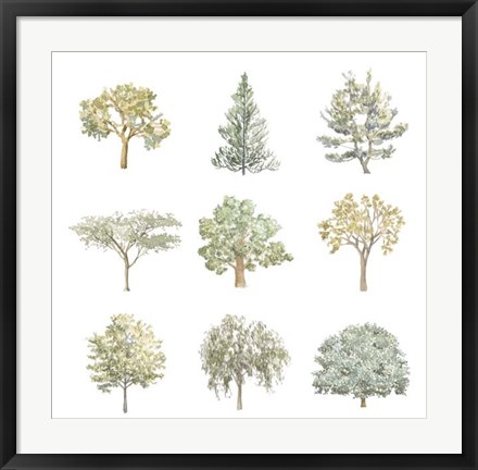 Framed Tree Varieties I Print