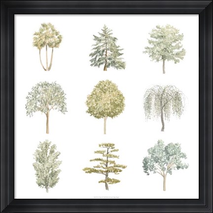 Framed Tree Varieties II Print