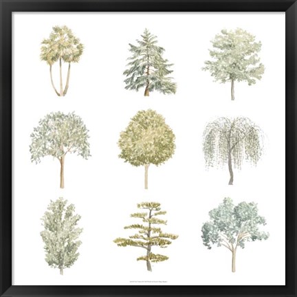 Framed Tree Varieties II Print