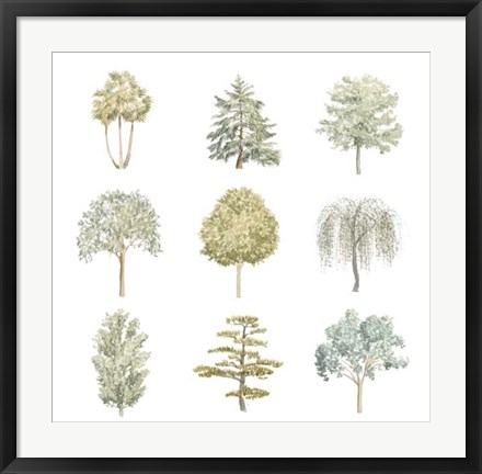 Framed Tree Varieties II Print