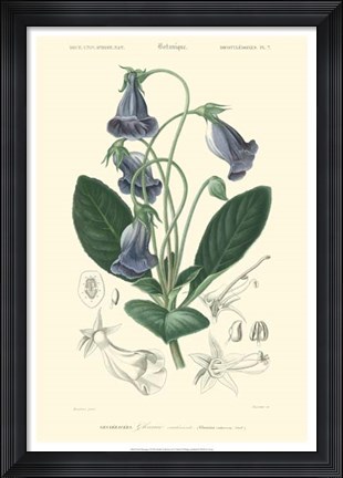 Framed Floral Botanique I Print