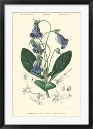 Framed Floral Botanique I Print