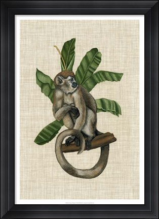 Framed Canopy Monkey I Print