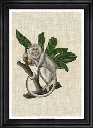 Framed Canopy Monkey II Print
