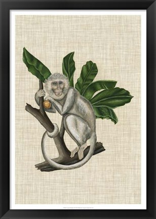 Framed Canopy Monkey II Print