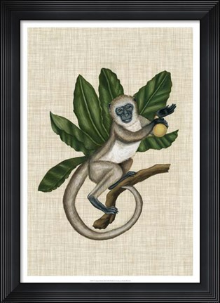 Framed Canopy Monkey III Print