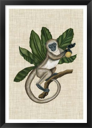 Framed Canopy Monkey III Print