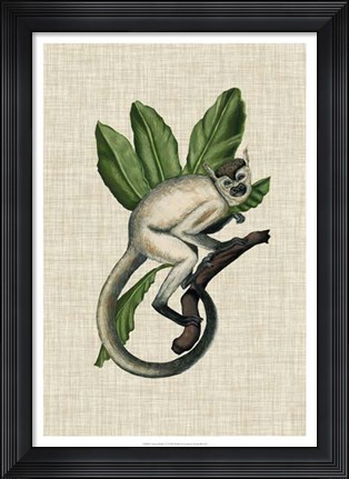 Framed Canopy Monkey IV Print