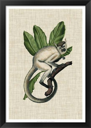 Framed Canopy Monkey IV Print